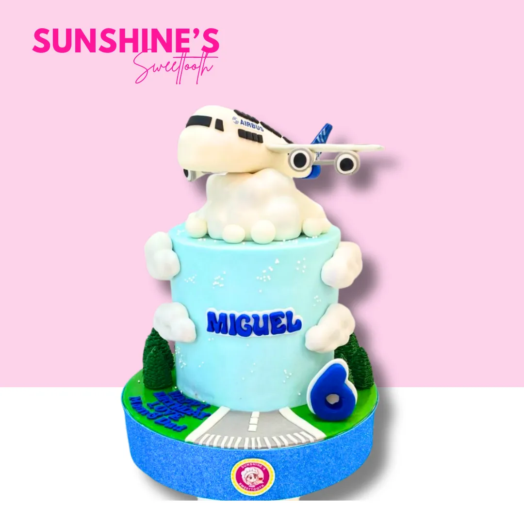 Airplane Cake